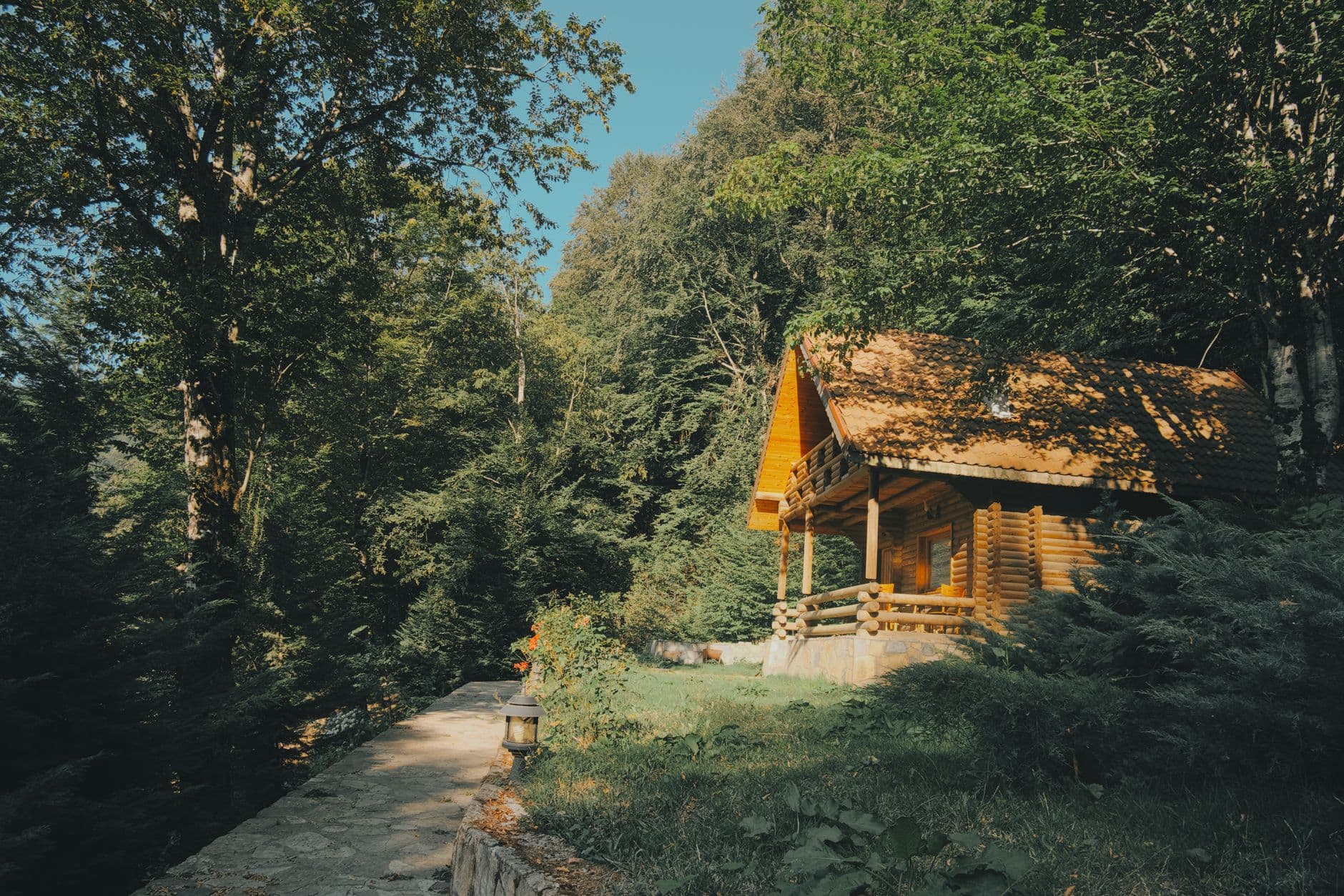 Cozy wooden cabin surrounded by lush green forest under sunny blue skies.