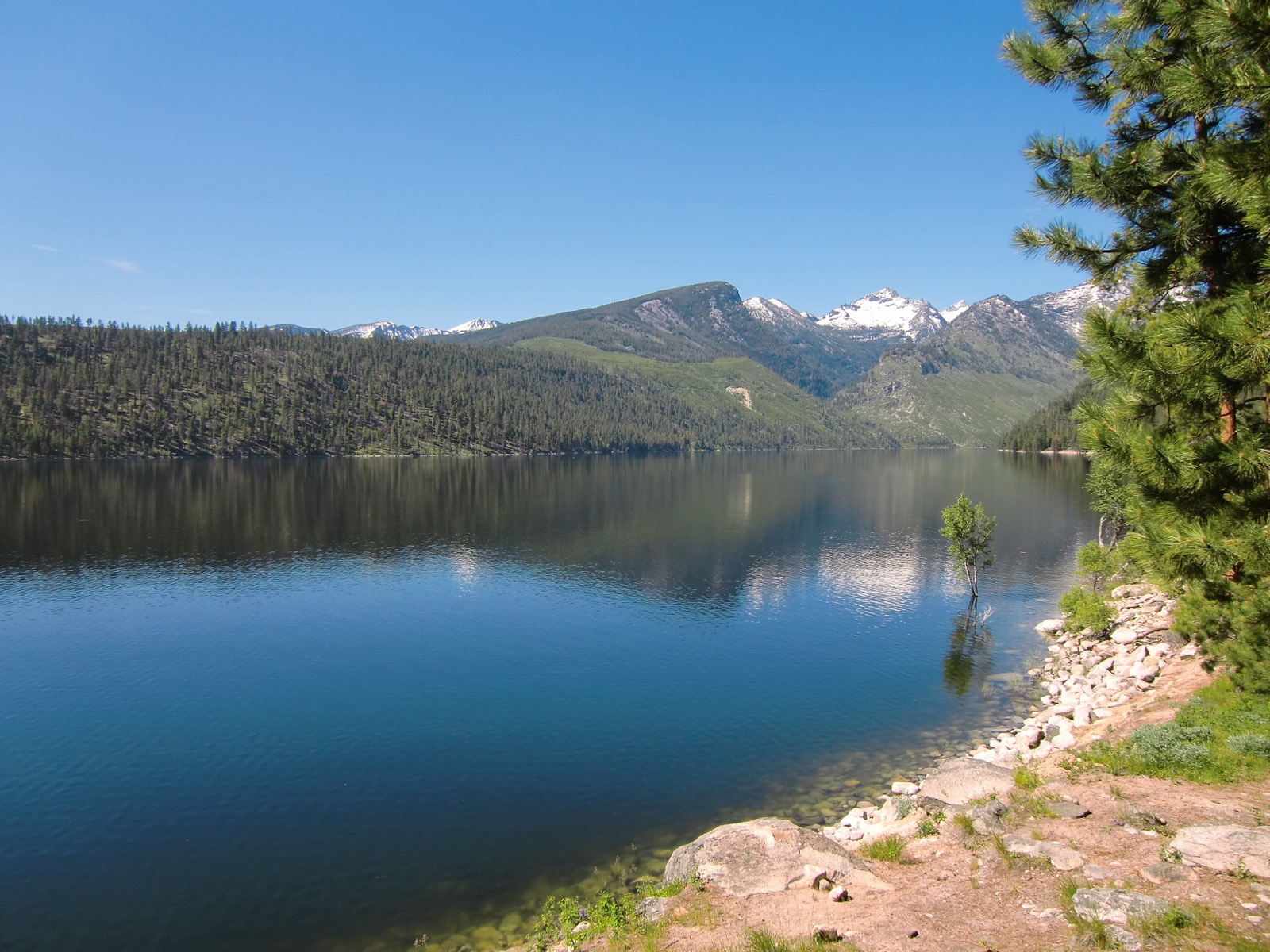 Lago de montaña con aguas tranquilas y pinos en la orilla